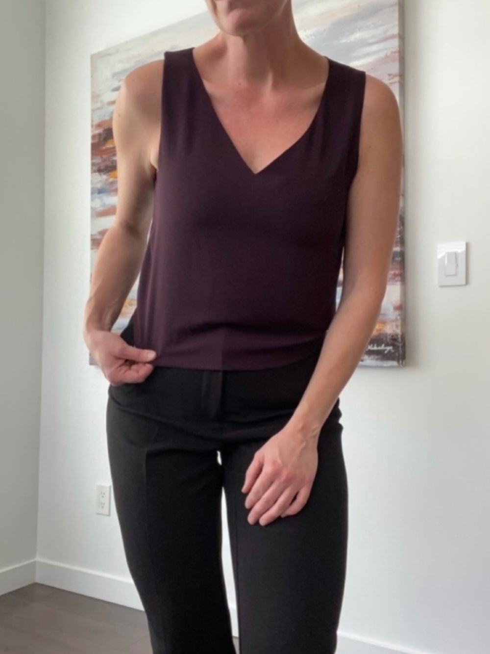 ARITZIA Babaton Murphy Blouse